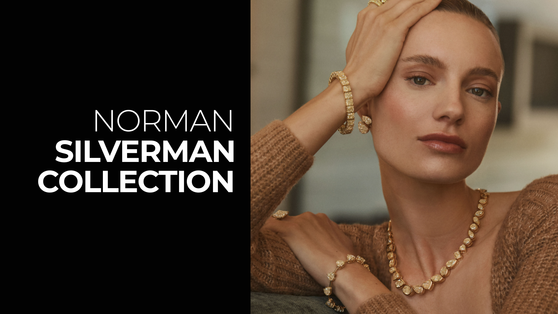 NORMAN SILVERMAN COLLECTION
