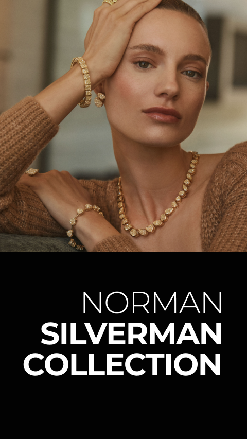 NORMAN SILVERMAN COLLECTION
