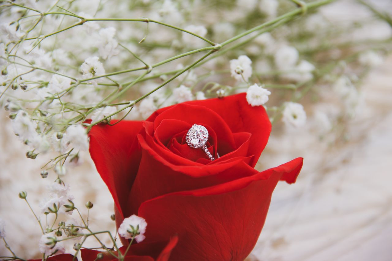 Diamond engagement ring with halo setting sitting in a red rose
